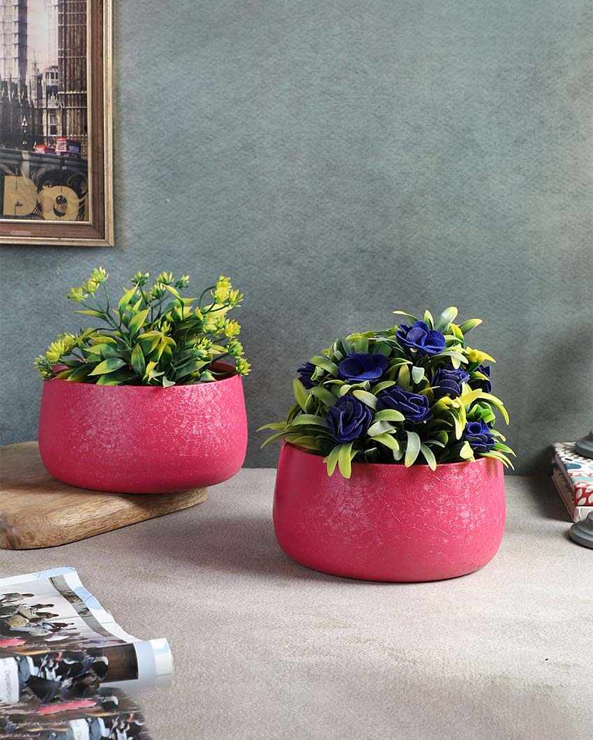 Modern Bowl Textured Planters | Set Of 2 | 5 x 3 inches