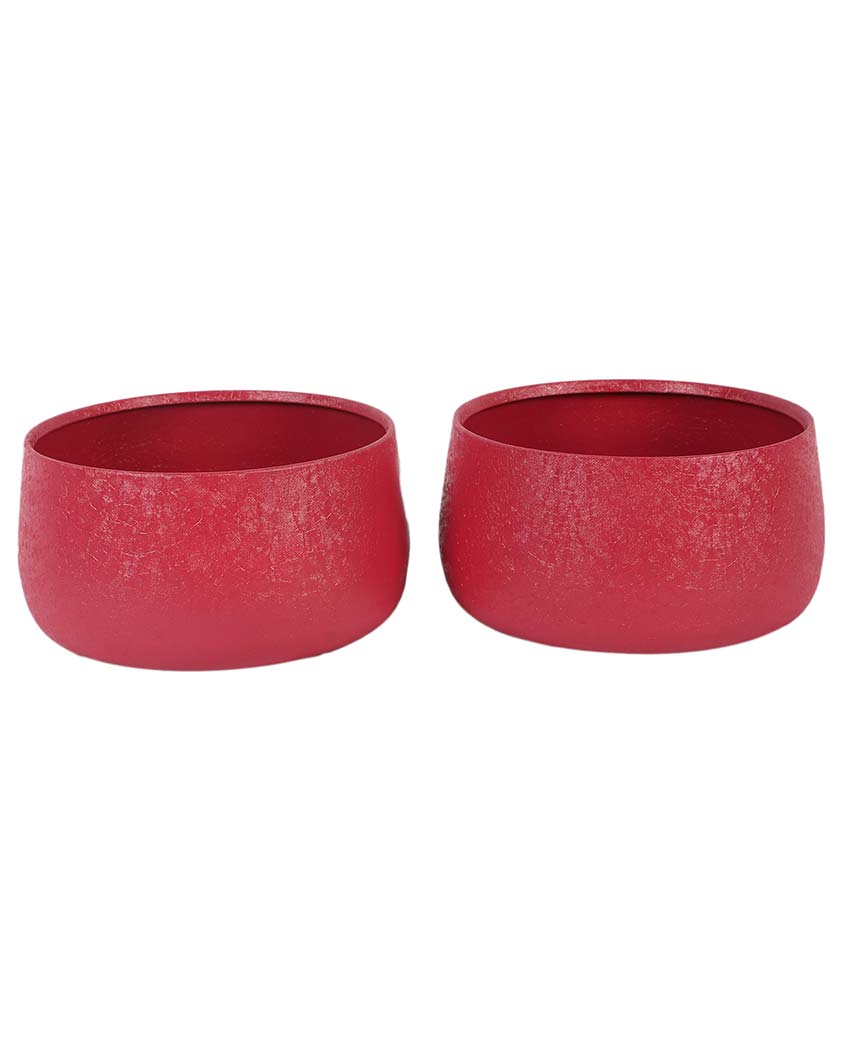 Modern Bowl Textured Planters | Set Of 2 | 5 x 3 inches