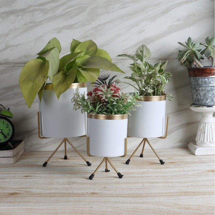 White & Gold Votive Planter | Set of 3