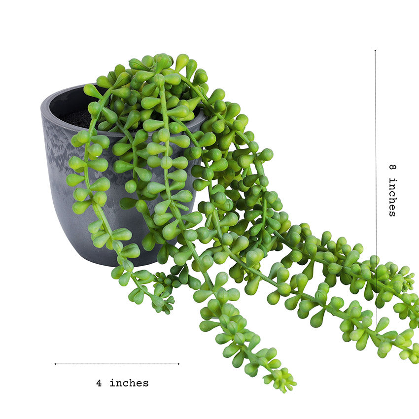 Graceful Artificial Hanging Succulent Vine | 4 x 8 inches