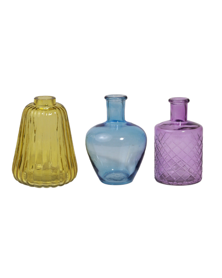 Bud Beauties Bud Vases | Set Of 3
