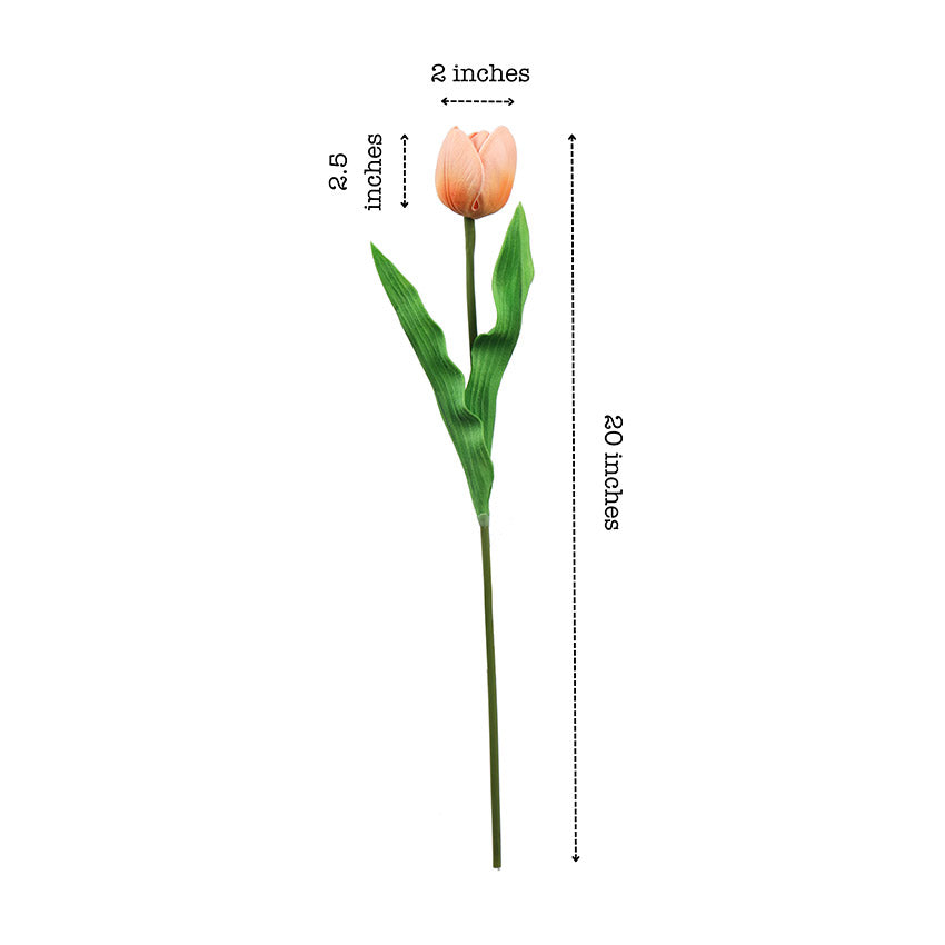 Charming Artificial Tulip Flower Sticks Without Vase | Set of 5 | 1.6 feet