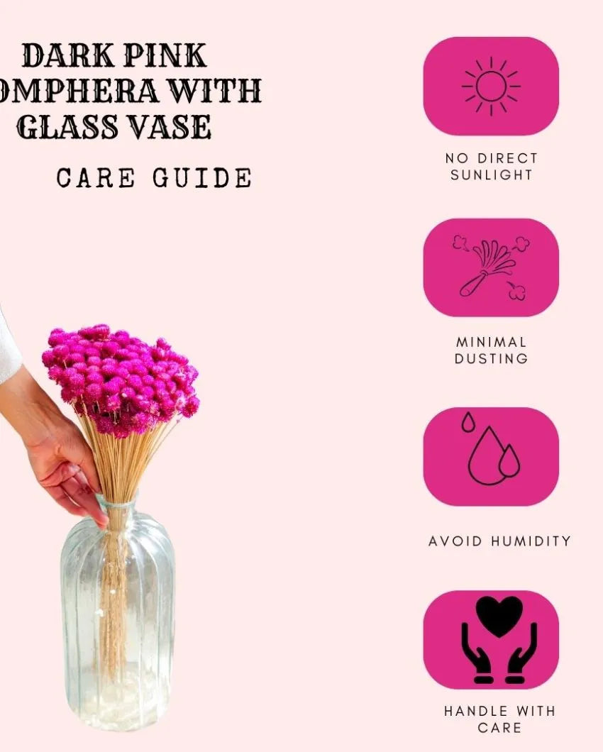 Dark Pink Gomphera With Crystal Glass Vase