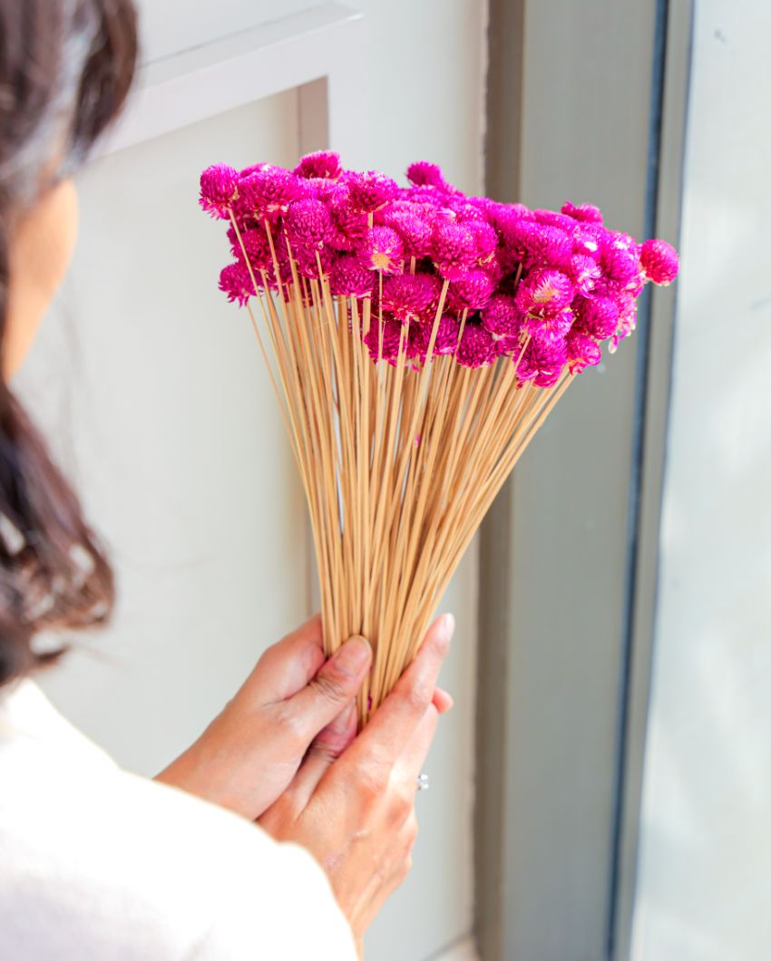 Dark Pink Gomphera With Crystal Glass Vase