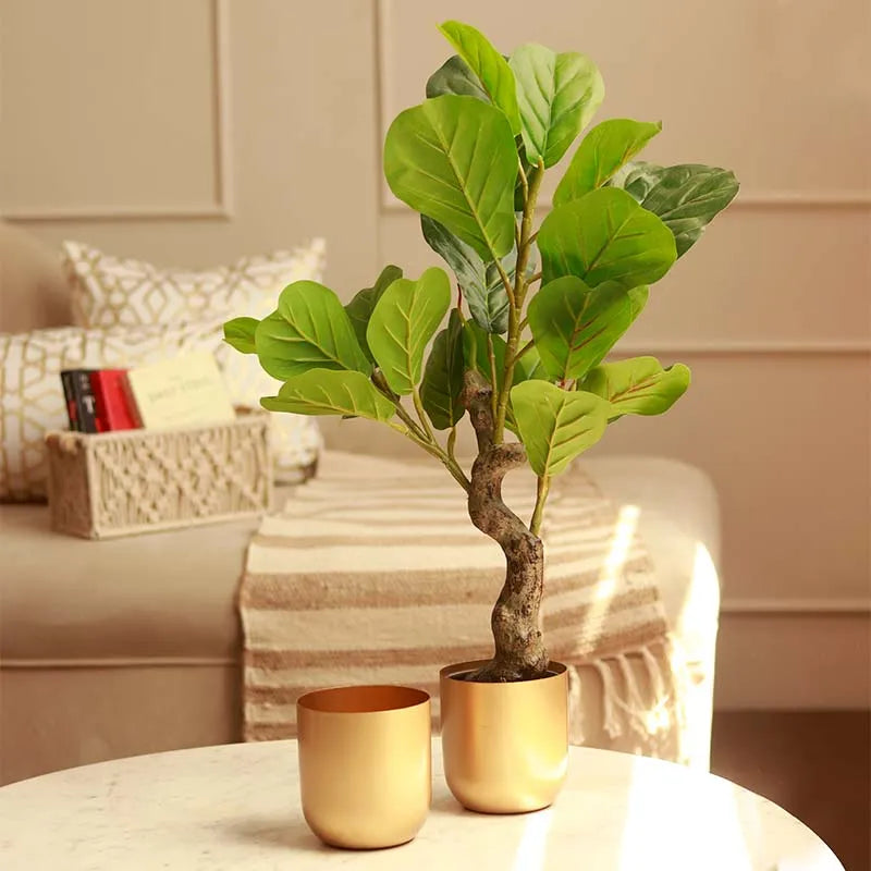 The Aurum Gold Metal Plant Pots | Set of 2 | 5 x 5 inches