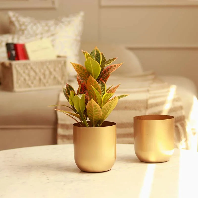 The Aurum Gold Metal Plant Pots | Set of 2 | 5 x 5 inches