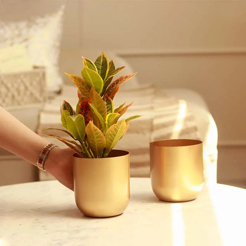 The Aurum Gold Metal Plant Pots | Set of 2 | 5 x 5 inches