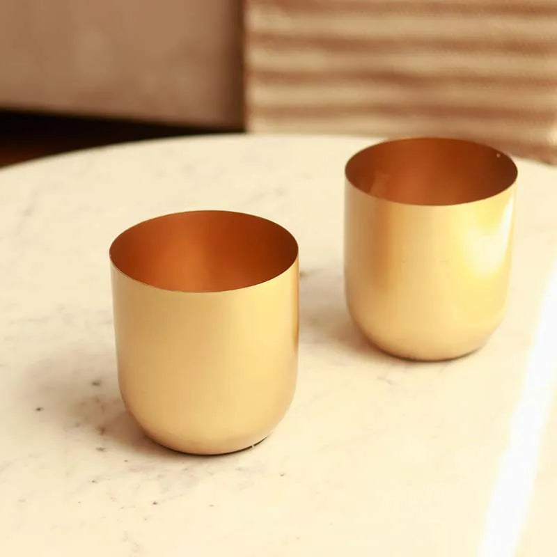 The Aurum Gold Metal Plant Pots | Set of 2 | 5 x 5 inches