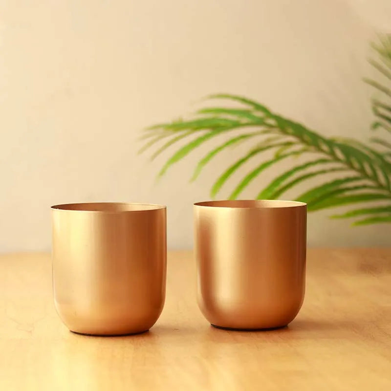 The Aurum Gold Metal Plant Pots | Set of 2 | 5 x 5 inches