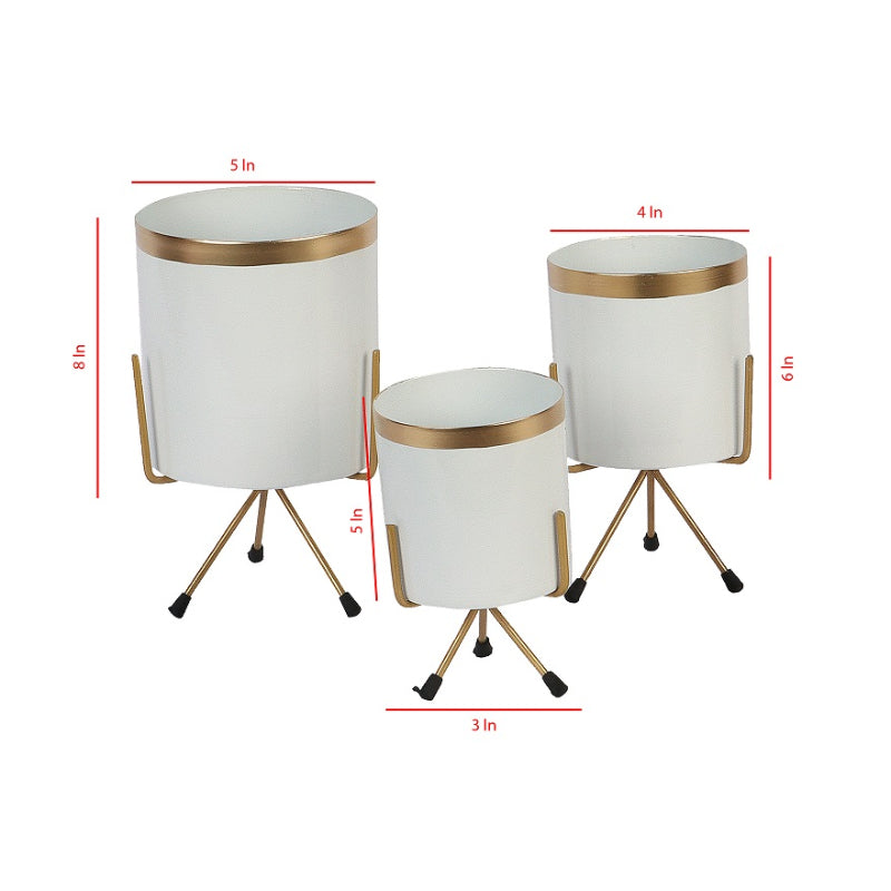 Amaya Decors Pots & Planters Dusaan or dussan dushan doosan