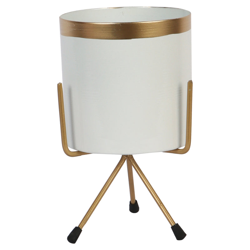 Amaya Decors Pots & Planters Dusaan or dussan dushan doosan