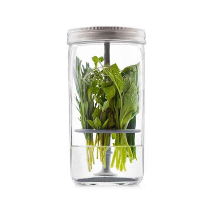 Innovative Herb Keeper Clear Glass Mouth Jar Lifter Rod Disc with Lid | 1.0L