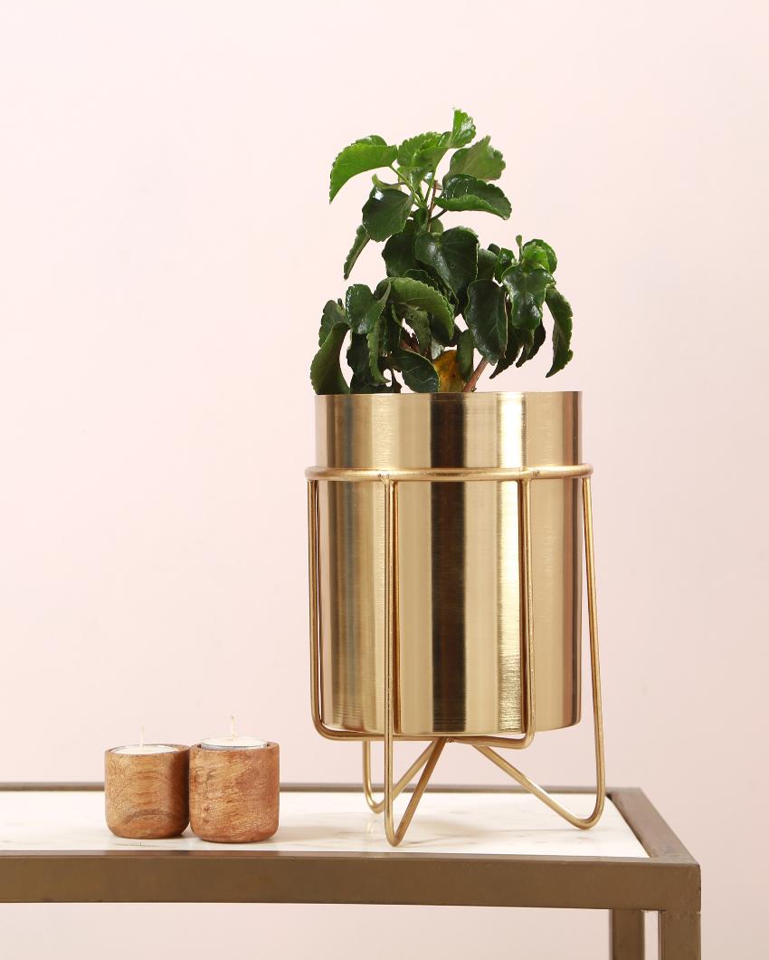 Waves Golden Metal Planter with Stand | 8.3 Inches