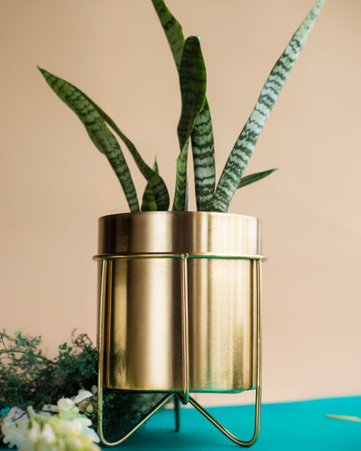 Waves Golden Metal Planter with Stand | 8.3 Inches