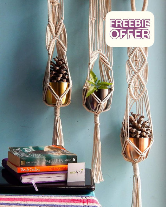 Twisted hand-Woven Plant Hanger | Set of 3
