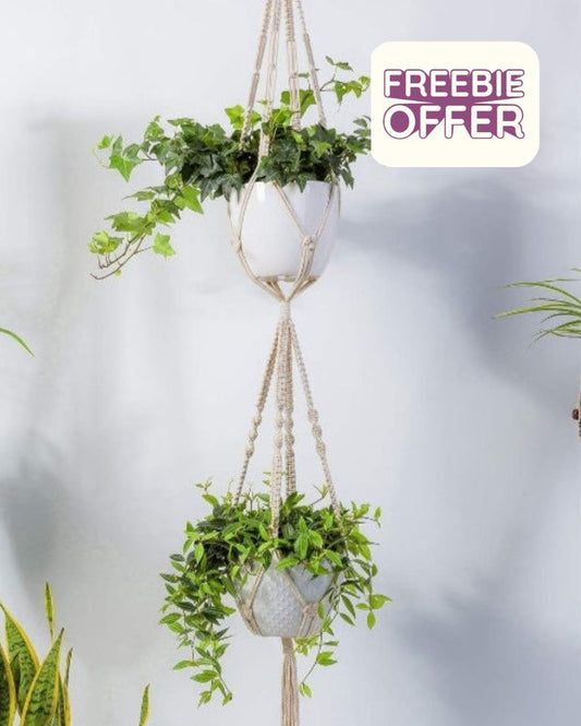 Bohemian Hand Crafted 2-tier Plant Hanger