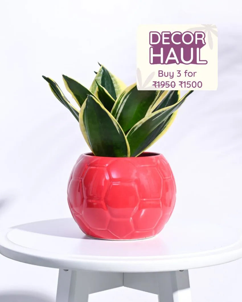 Red Football Ceramic Pot