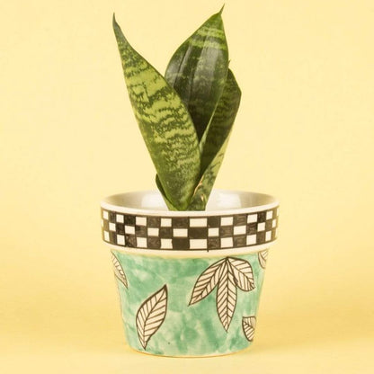 Charming Gingham Ceramic Planter without Plant | 4 x 4 inches