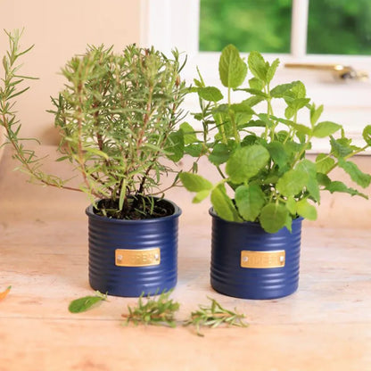 Otto Herb Planter | Multiple Colors Navy