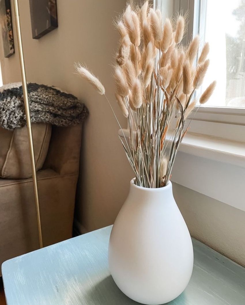 Brown Natural Dried Bunny Tails | 50 Stems | 28 x 6 x 4 inches