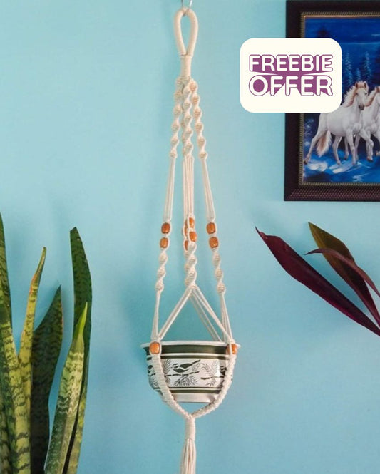 Braided & Beaded Cotton Rope Plant Hanger