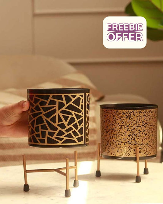 The Bergen | Set of 2 Metal Plant Pot with Stand in Black & Gold