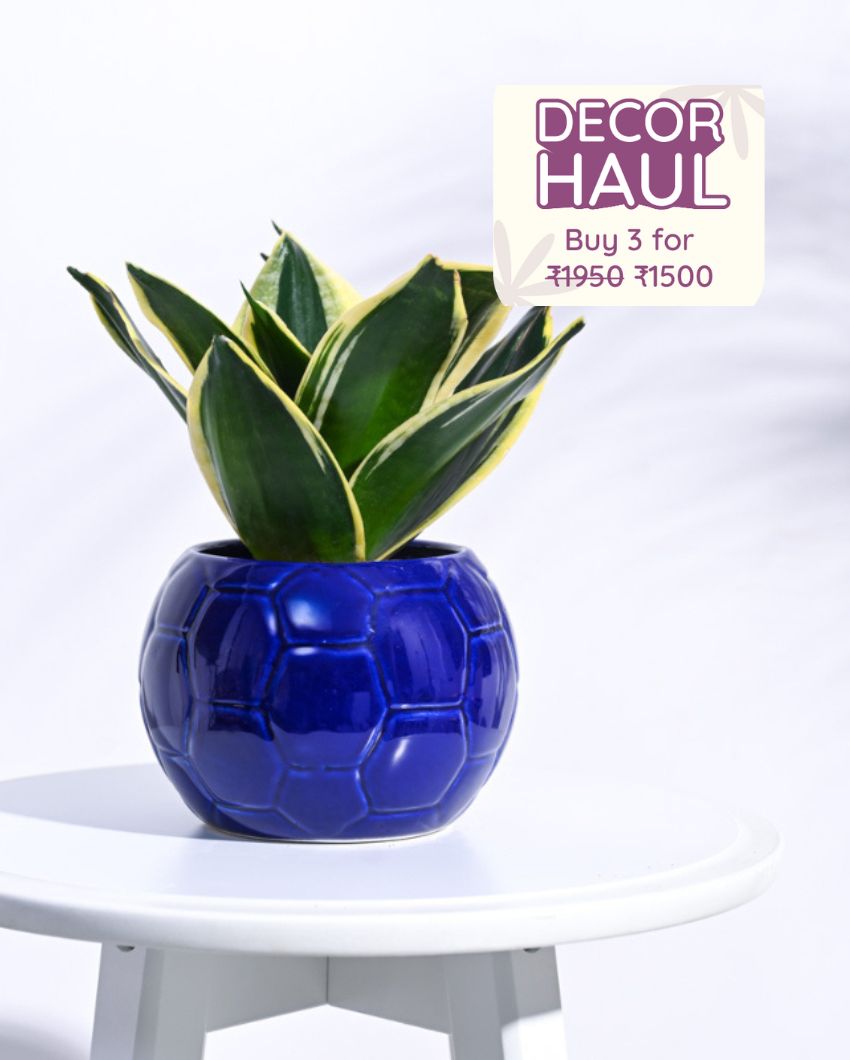 Blue Football Ceramic Pot