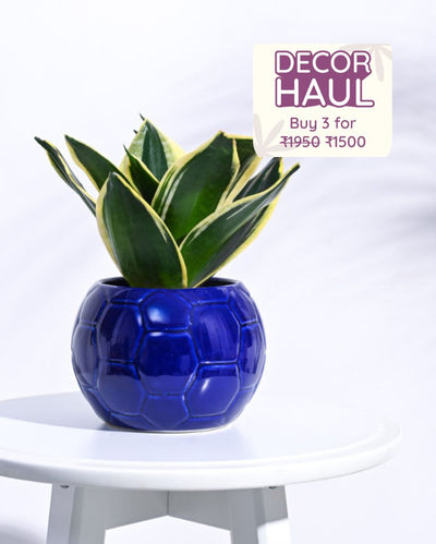 Blue Football Ceramic Pot