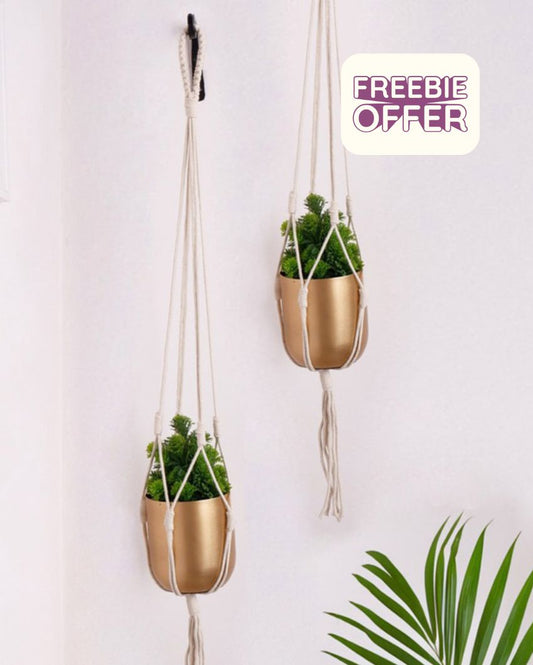 Golden Metal Planter Pot With Macrame Plant Hangers | Set of 4