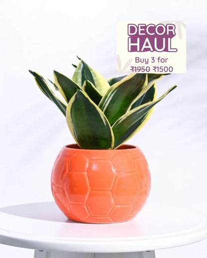 Orange Football Ceramic Pot