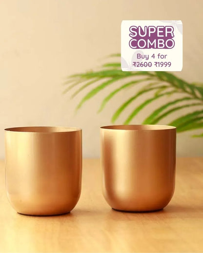 The Aurum Gold Metal Plant Pots | Set of 2 | 5 x 5 inches