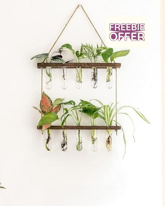 2 Tier Wall Hanging Test Tube Planter With Wooden Holder