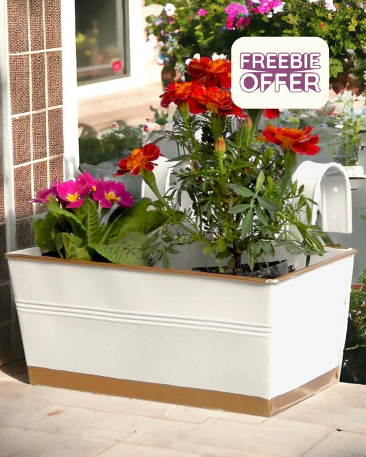 Stylish Metal Design Rectangle Balcony Hanging Planters Flowers Not Included