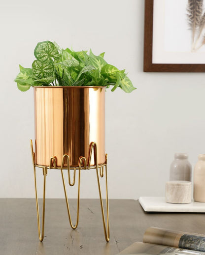 Zigzag Oasis Stainless Steel Copper Planter