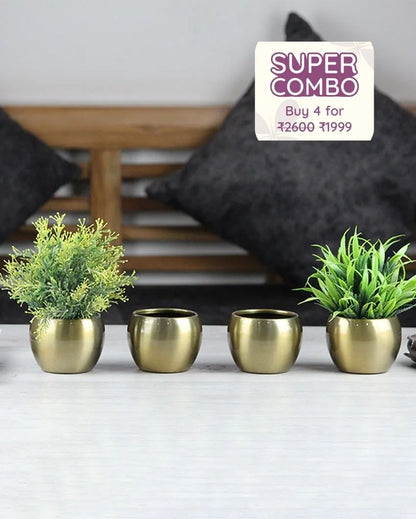 Brass Tropicana Mini Iron Pot | Plant Not Included