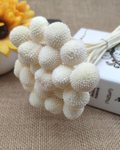 White Dried Billy Ball | 10 Stems | 28 x 6 x 4 inches