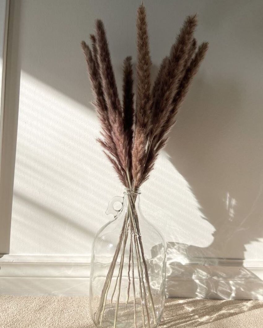 Dried Mini Pampas Grass Stems | Set Of 10 | 28 x  6 x 4 inches