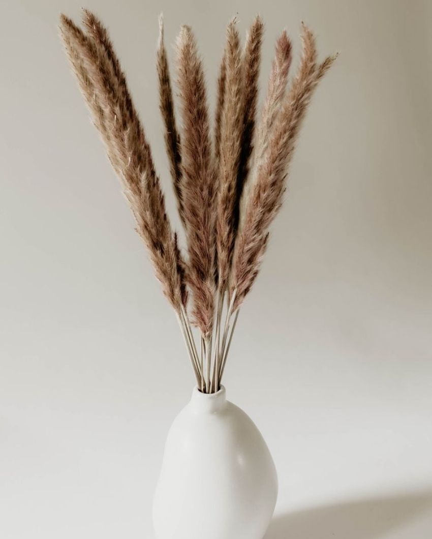 Dried Mini Pampas Grass Stems | Set Of 10 | 28 x  6 x 4 inches