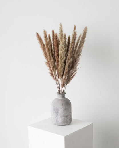 Dried Mini Pampas Grass Stems | Set Of 10 | 28 x  6 x 4 inches