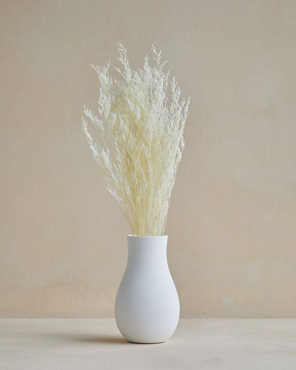 White Dried Lace Limoniums | 5 Stems | 28 x 6 x 4 inches