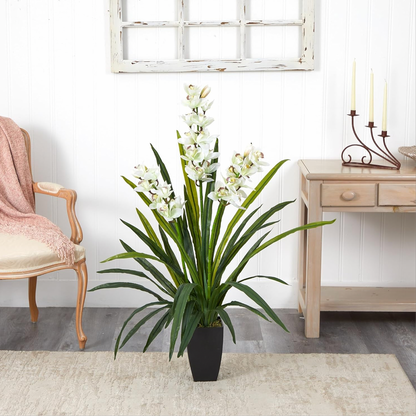 White Lily of the Valley Plant with Black Pot | 3 ft tall