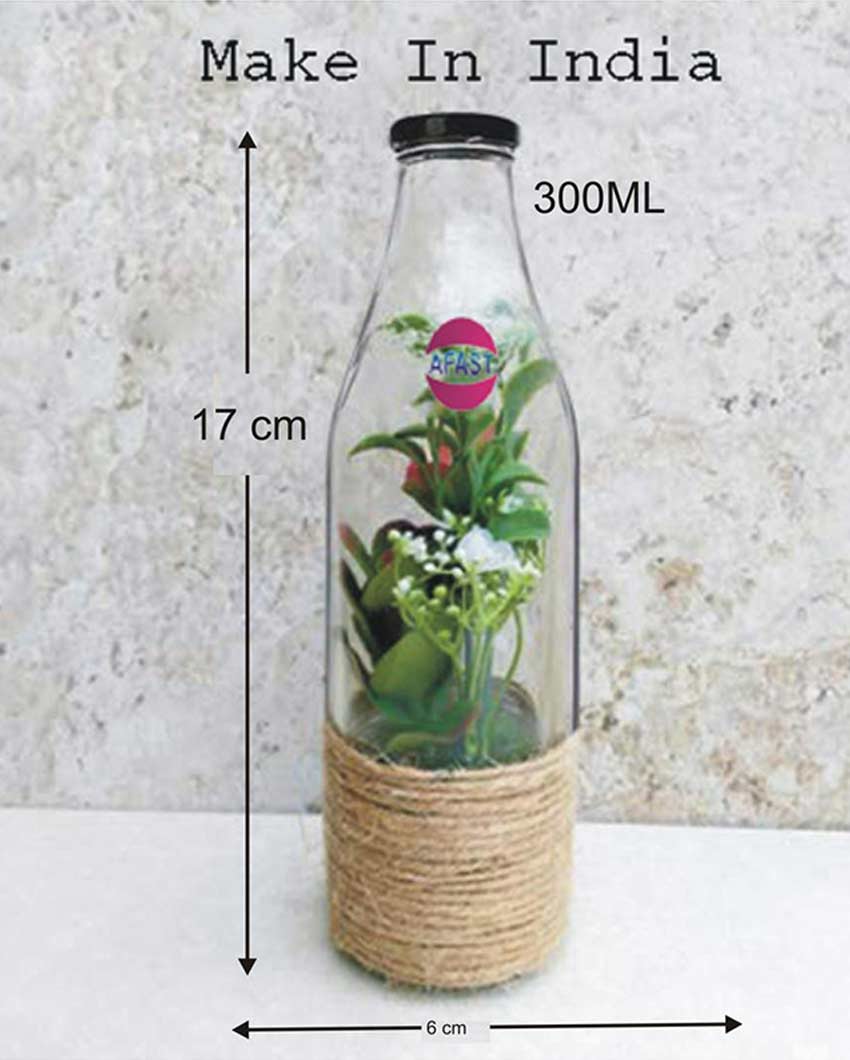 Clear Glass Water and Milk Bottle for Small Storage Needs Easy to Handle | 300 ML | 2 x 7 inches