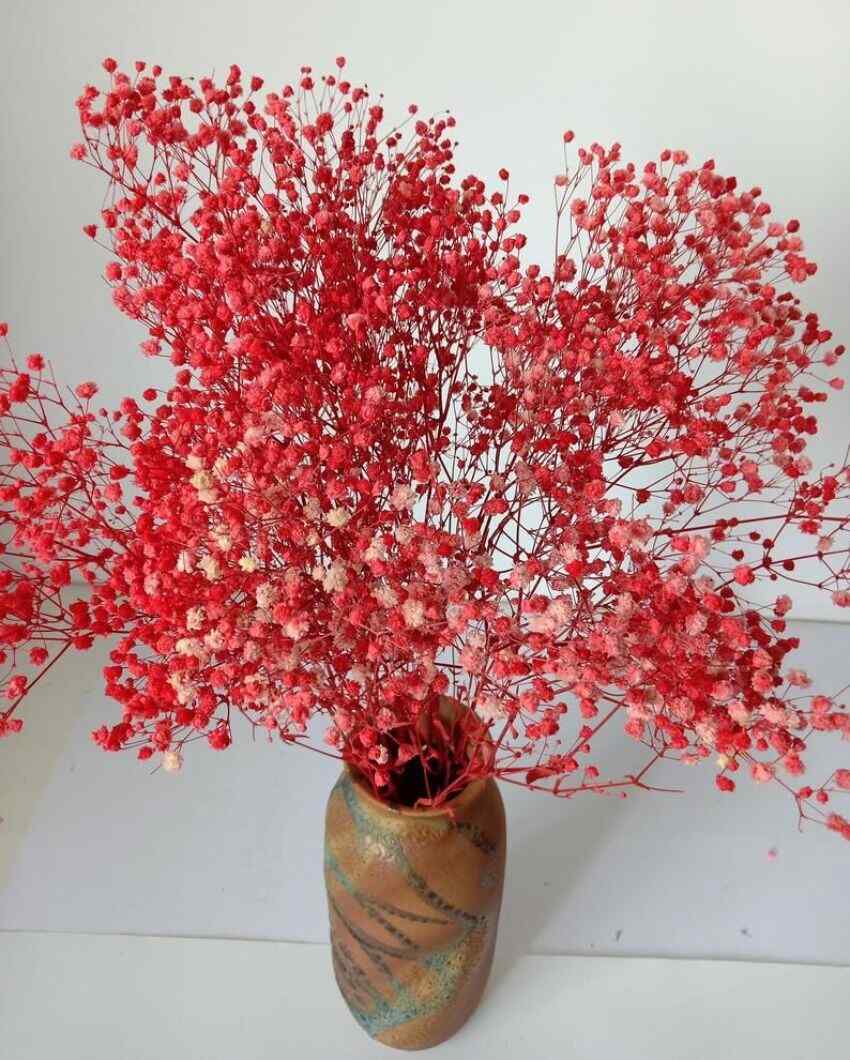 Red Baby Breaths | 3 Stems | 28 x 2 x 2 inches