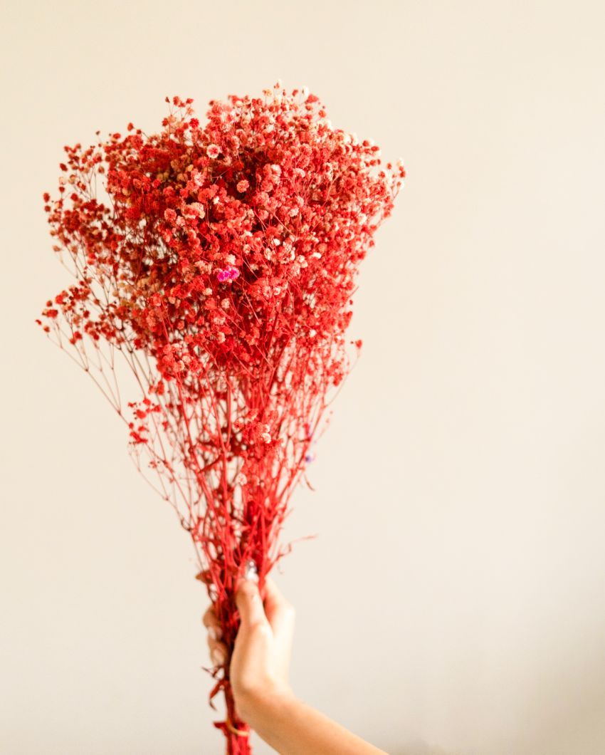 Red Baby Breaths | 3 Stems | 28 x 2 x 2 inches