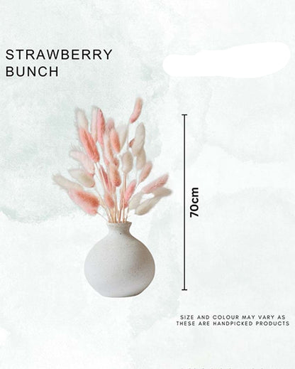 Dried Strawberry Bunches With Vase | 50 Stems | 28 x 6 x 4 inches