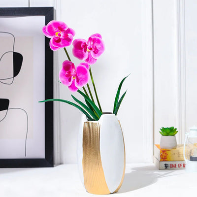 Pristine White Modern Curve Ceramic Vase Without Flower | 3 x 7 inches