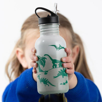 Pure Stainless Steel Color-Change Dinosaur Bottle | 550 ML