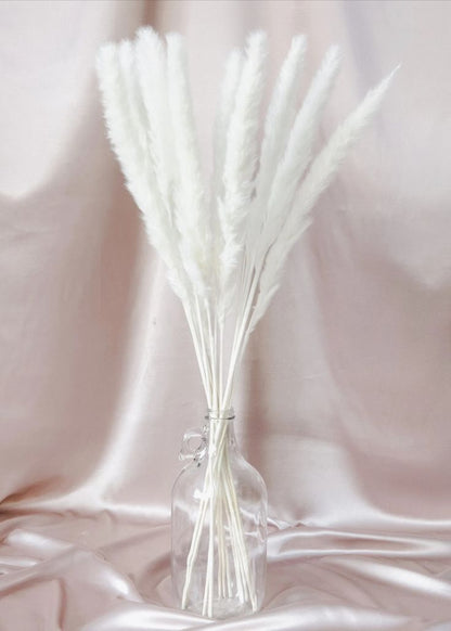 Dried Mini Pampas Grass Stems | Set Of 10 | 28 x  6 x 4 inches