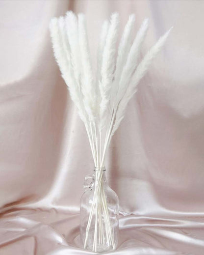 Dried Mini Pampas Grass Stems | Set Of 10 | 28 x  6 x 4 inches