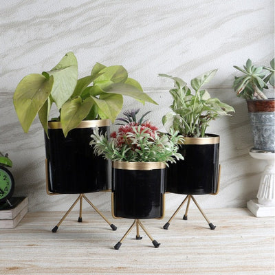 Black & Gold  Votive Planter | Set of 3